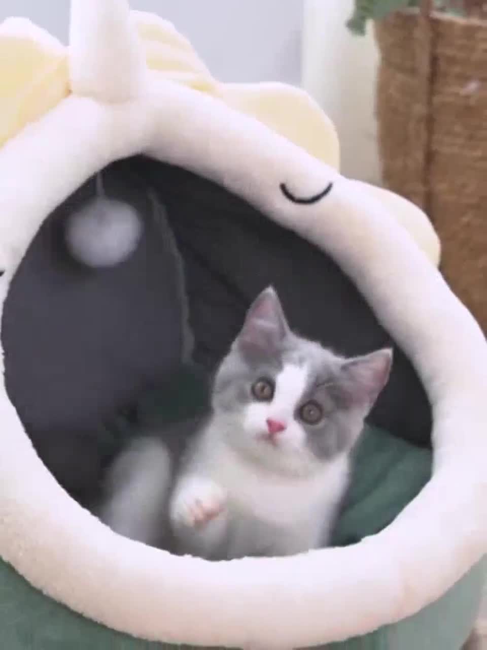 In Stock Cartoon Pet Bed Foldable Cat Bed Removable Washable Pet Sleeping Bed for Cat Dog House tempat tidur kucing - Image 8