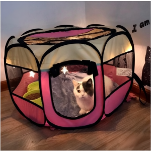 Portable Folding Pet Tent with Cozy Mattress for Dogs and Cats